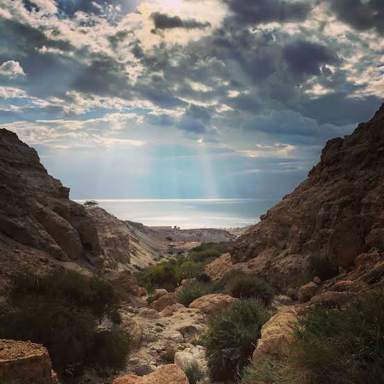 https://viajesdelcarmen.com/wp-content/uploads/masada.jpeg